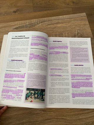 El joc infantil i la seva metodologia