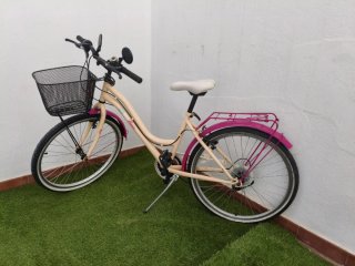 Bicicleta Denbike 24' con cesta