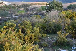 Terreno en venta en Otura