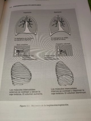 Fisioterapia exploración, técnicas, tratamiento...