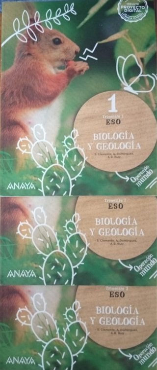 Lote de libros texto I ESO