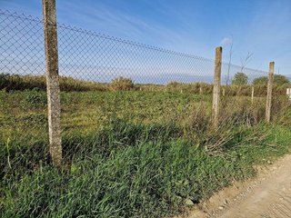 Terreno en venta en Moguer