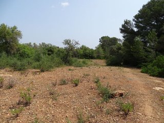 Terreno en venta en Campos
