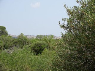 Terreno en venta en Campos