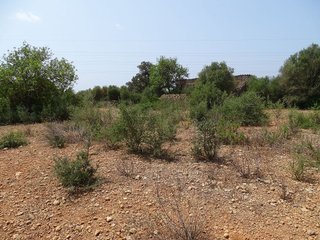 Terreno en venta en Campos