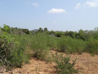 Terreno en venta en Campos