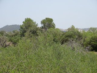 Terreno en venta en Campos