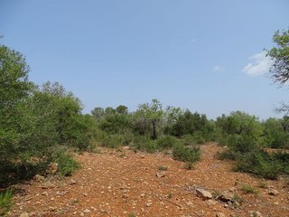 Terreno en venta en Campos