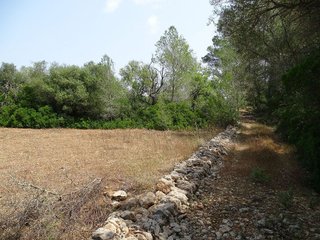 Terreno en venta en Campos