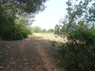 Terreno en venta en Campos