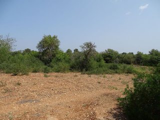 Terreno en venta en Campos