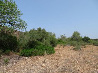 Terreno en venta en Campos