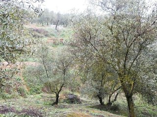 Terreno en venta en Peligros