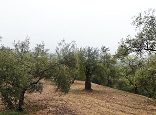 Terreno en venta en Peligros