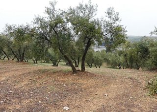 Terreno en venta en Peligros