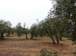 Terreno en venta en Peligros