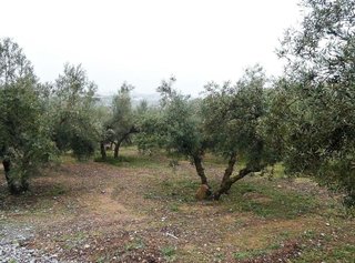 Terreno en venta en Peligros