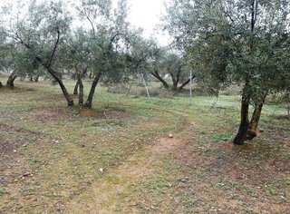 Terreno en venta en Peligros