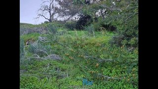 Terreno en venta en Almuñecar en Almuñécar