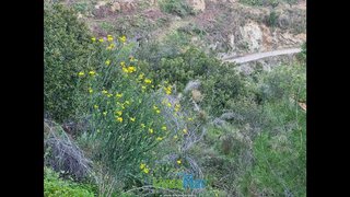 Terreno en venta en Almuñecar en Almuñécar