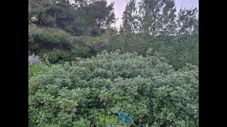 Terreno en venta en Almuñecar en Almuñécar