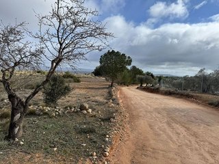 Solar en venta en Almansa