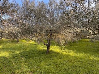 Terreno en venta en Cártama pueblo en Cártama
