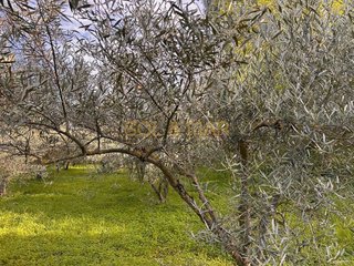 Terreno en venta en Cártama pueblo en Cártama