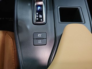 Lexus UX 2.0 300h UX Plus