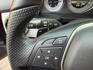 Mercedes-Benz Clase GLK GLK 220 BlueTEC 4M