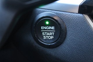 Ford KUGA STLine 1.5 EcoBlue 88kW 120CV Auto (2021)