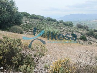 Terreno en venta en Centro en Alhaurín el Grande