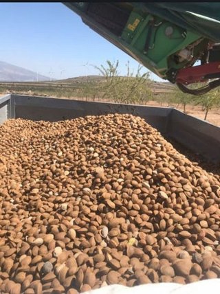 Terreno en venta en Padul