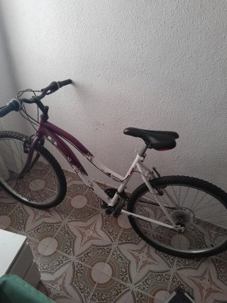 Bicicleta Morada y Blanca