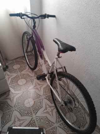 Bicicleta Morada y Blanca