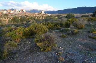 Terreno en venta en Otura