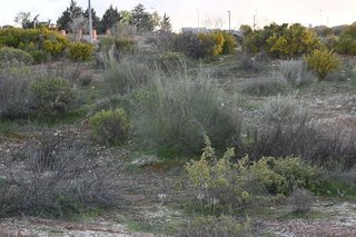 Terreno en venta en Otura
