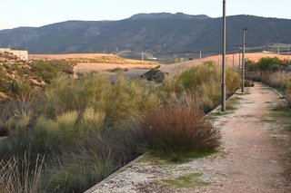Terreno en venta en Otura