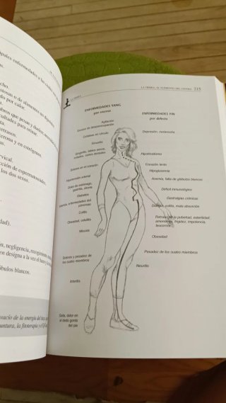 Guía Práctica de Medicina China