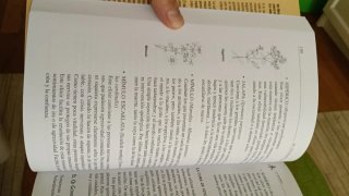 Guía Práctica de Medicina China