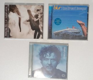 LOTE 16 CDS BEATLES GUNS N ROSES PRETENDERS BLUR