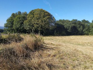 Terreno en venta en Begonte
