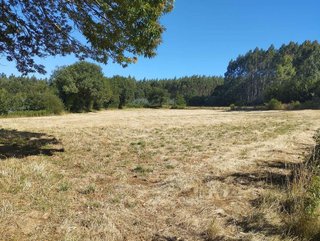Terreno en venta en Begonte