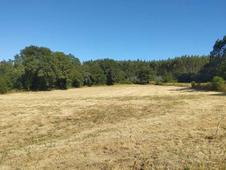 Terreno en venta en Begonte