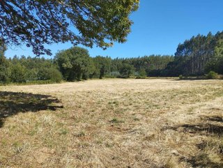Terreno en venta en Begonte