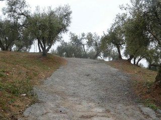 Terreno en venta en Peligros