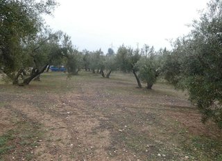 Terreno en venta en Peligros