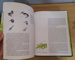 Fauna Ibérica