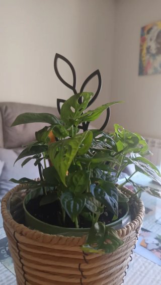 Soporte decorativo para plantas