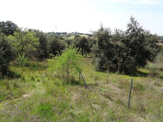 Terreno en venta en Sevilla la Nueva